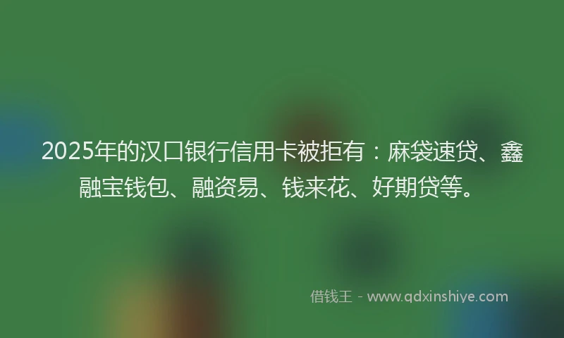 2025年的汉口银行信用卡被拒有:麻袋速贷、鑫融宝钱包、融资易、钱来花、好期贷等。