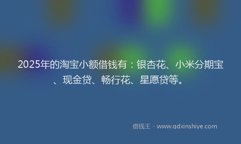 2025年的淘宝小额借钱有:银杏花、小米分期宝、现金贷、畅行花、星愿贷等。