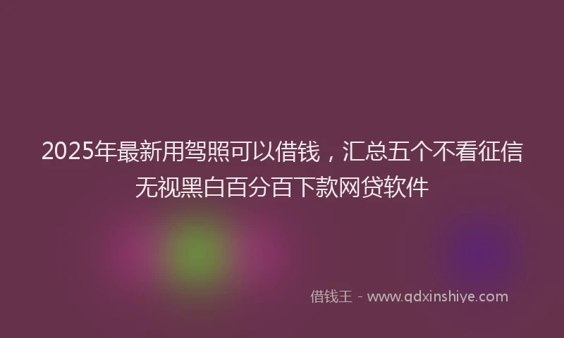 2025年最新用驾照可以借钱，汇总五个不看征信无视黑白百分百下款网贷软件