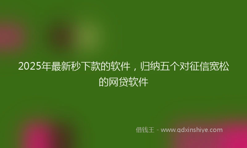 2025年最新秒下款的软件，归纳五个对征信宽松的网贷软件