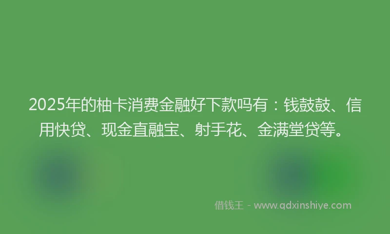 2025年的柚卡消费金融好下款吗有：钱鼓鼓、信用快贷、现金直融宝、射手花、金满堂贷等。