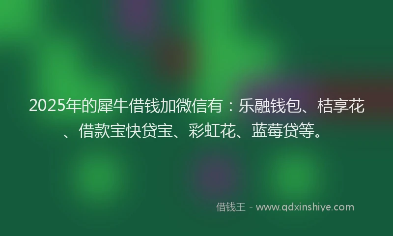 2025年的犀牛借钱加微信有：乐融钱包、桔享花、借款宝快贷宝、彩虹花、蓝莓贷等。