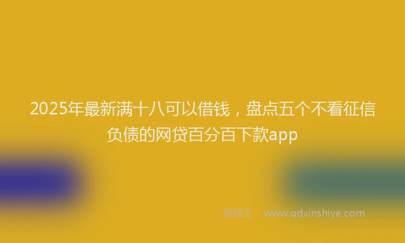2025年最新满十八可以借钱，盘点五个不看征信负债的网贷百分百下款app