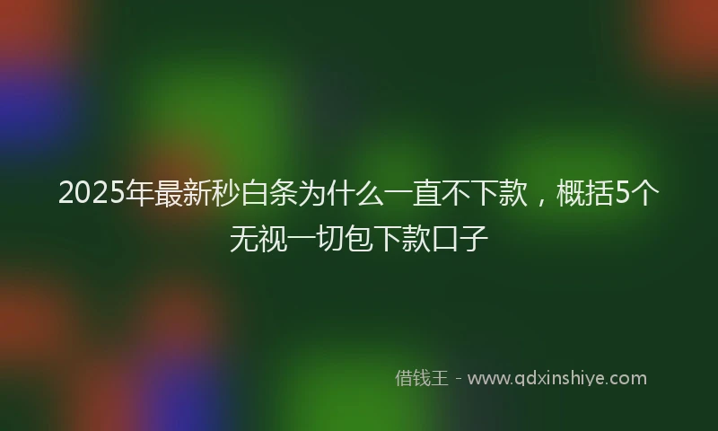 2025年最新秒白条为什么一直不下款，概括5个无视一切包下款口子