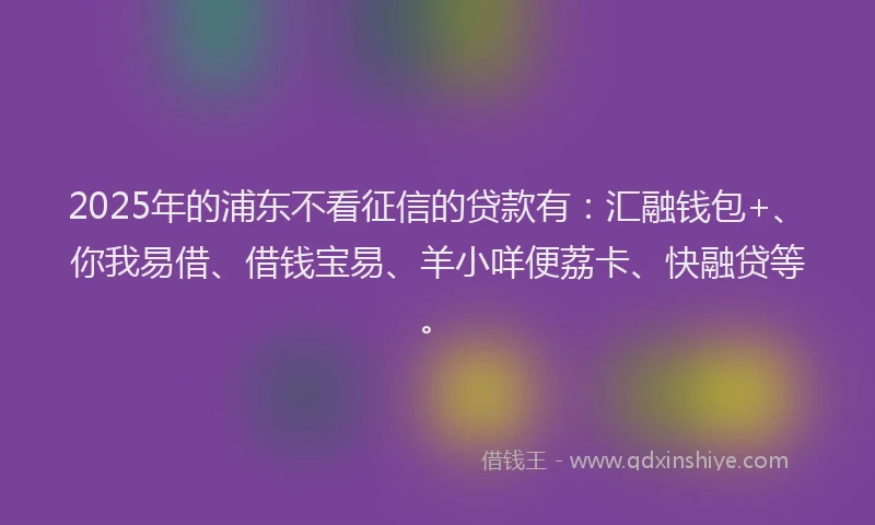 2025年的浦东不看征信的贷款有：汇融钱包+、你我易借、借钱宝易、羊小咩便荔卡、快融贷等。