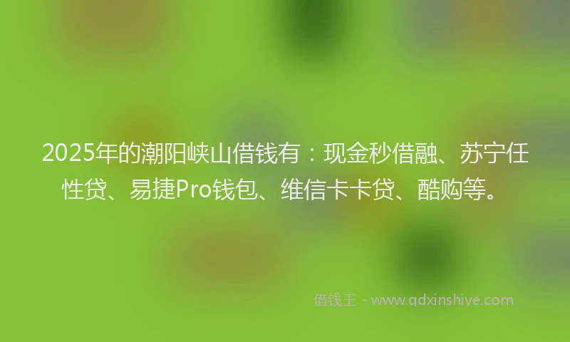 2025年的潮阳峡山借钱有：现金秒借融、苏宁任性贷、易捷Pro钱包、维信卡卡贷、酷购等。