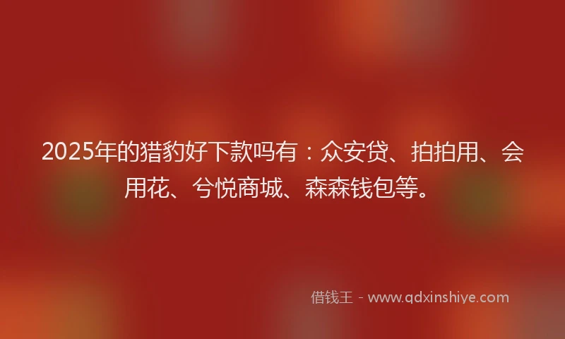 2025年的猎豹好下款吗有：众安贷、拍拍用、会用花、兮悦商城、森森钱包等。