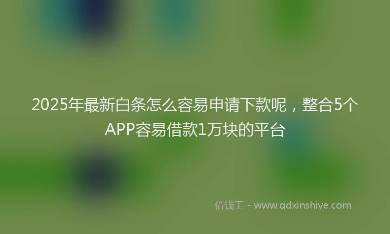 2025年最新白条怎么容易申请下款呢，整合5个APP容易借款1万块的平台