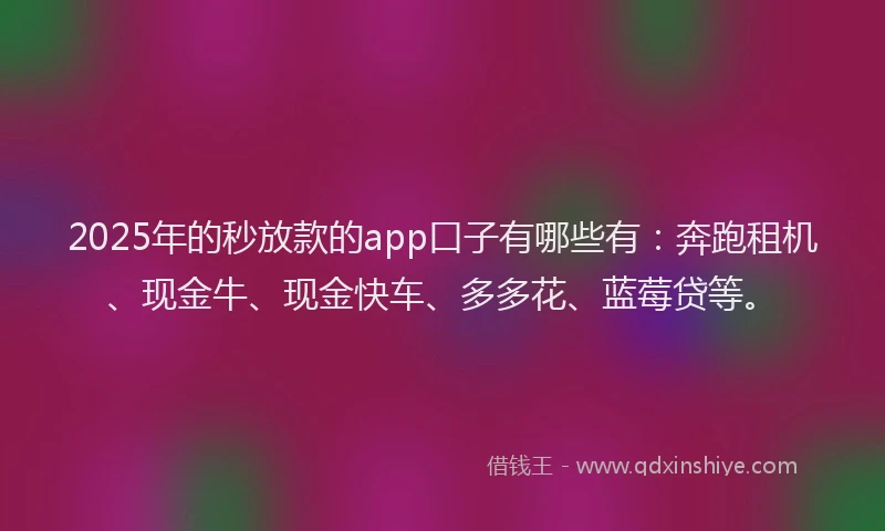 2025年的秒放款的app口子有哪些有：奔跑租机、现金牛、现金快车、多多花、蓝莓贷等。