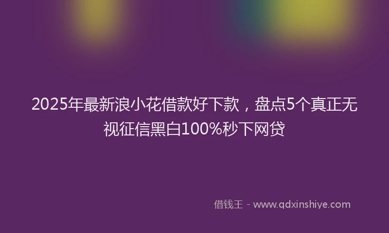 2025年最新浪小花借款好下款，盘点5个真正无视征信黑白100%秒下网贷