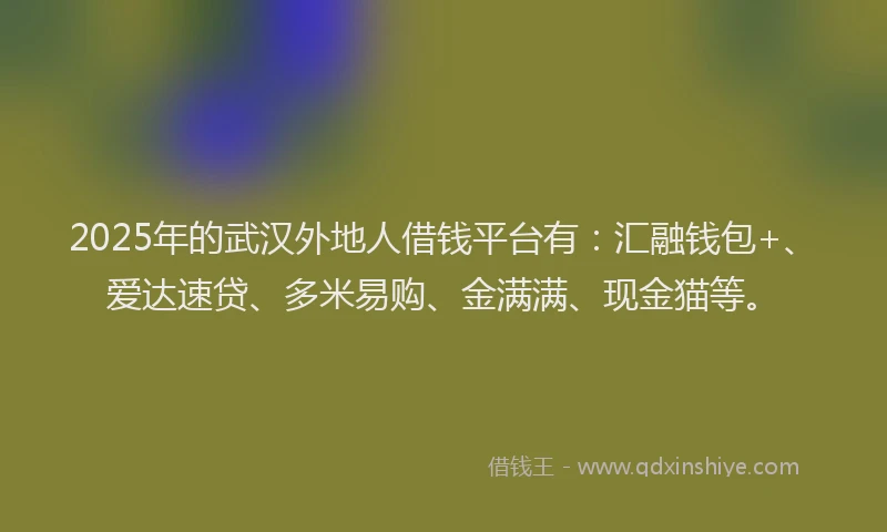 2025年的武汉外地人借钱平台有：汇融钱包+、爱达速贷、多米易购、金满满、现金猫等。
