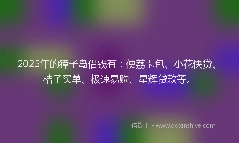 2025年的獐子岛借钱有：便荔卡包、小花快贷、桔子买单、极速易购、星辉贷款等。