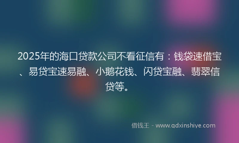 2025年的海口贷款公司不看征信有：钱袋速借宝、易贷宝速易融、小鹅花钱、闪贷宝融、翡翠信贷等。