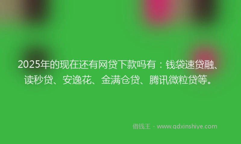 2025年的现在还有网贷下款吗有：钱袋速贷融、读秒贷、安逸花、金满仓贷、腾讯微粒贷等。