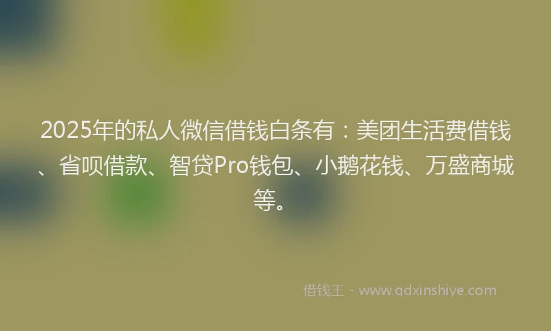 2025年的私人微信借钱白条有：美团生活费借钱、省呗借款、智贷Pro钱包、小鹅花钱、万盛商城等。