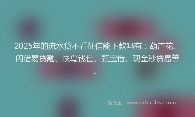 2025年的流水贷不看征信能下款吗有：葫芦花、闪借易贷融、快鸟钱包、甄宝借、现金秒贷易等。