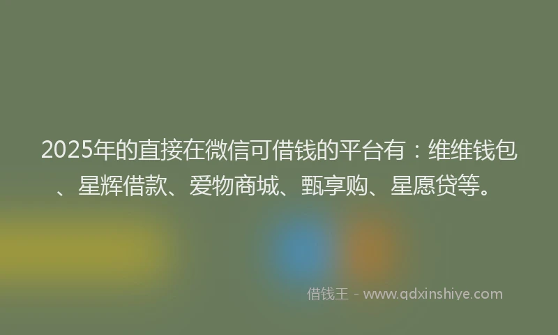 2025年的直接在微信可借钱的平台有：维维钱包、星辉借款、爱物商城、甄享购、星愿贷等。