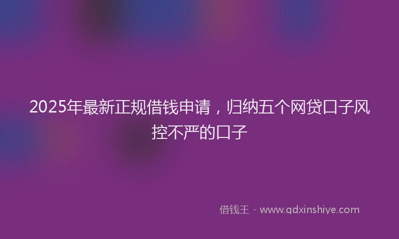 2025年最新正规借钱申请，归纳五个网贷口子风控不严的口子