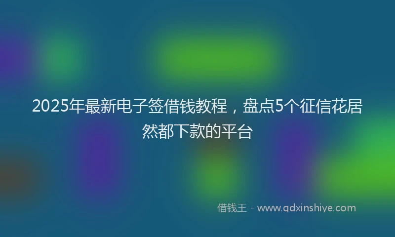 2025年最新电子签借钱教程，盘点5个征信花居然都下款的平台