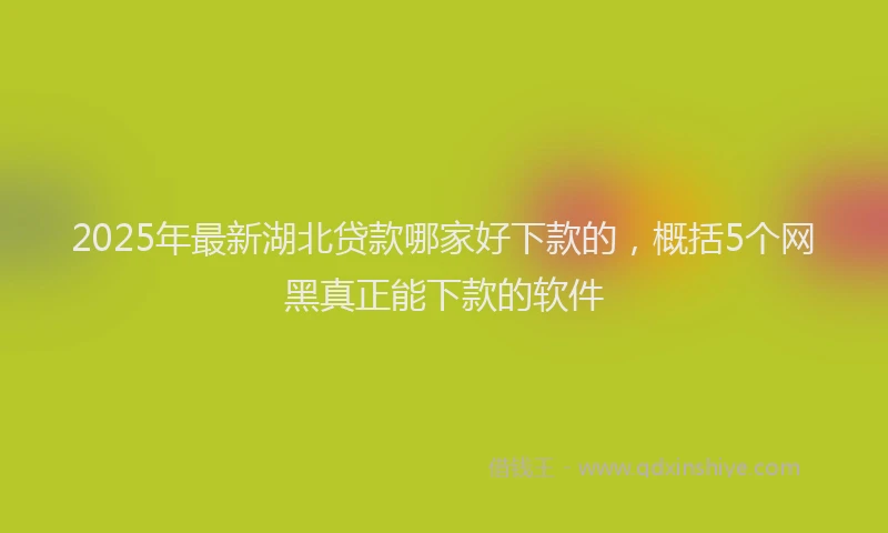 2025年最新湖北贷款哪家好下款的，概括5个网黑真正能下款的软件
