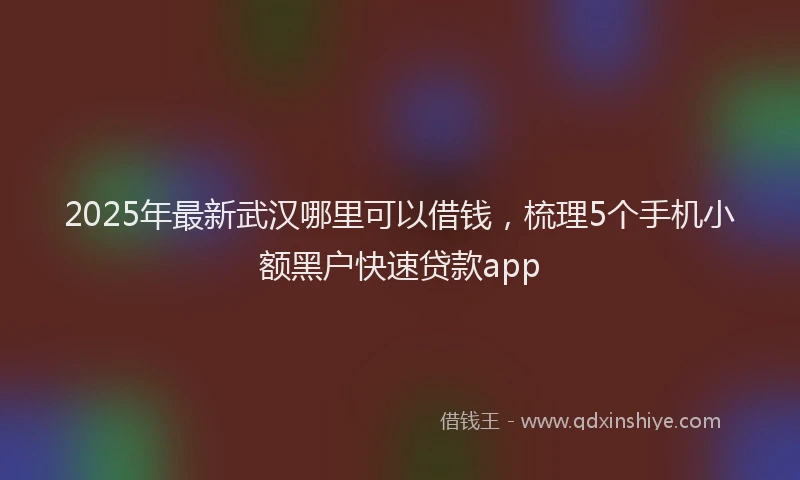 2025年最新武汉哪里可以借钱，梳理5个手机小额黑户快速贷款app