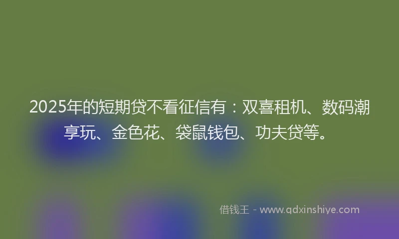 2025年的短期贷不看征信有：双喜租机、数码潮享玩、金色花、袋鼠钱包、功夫贷等。