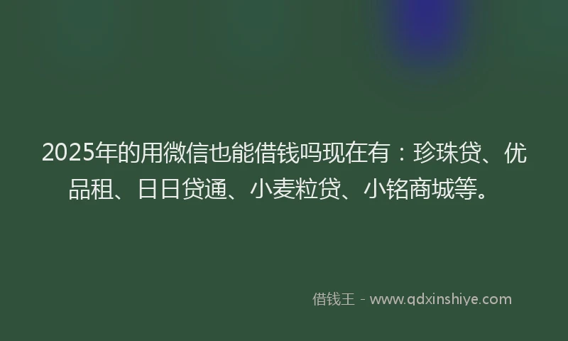 2025年的用微信也能借钱吗现在有：珍珠贷、优品租、日日贷通、小麦粒贷、小铭商城等。