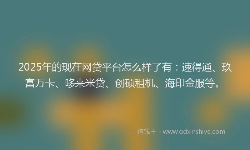 2025年的现在网贷平台怎么样了有：速得通、玖富万卡、哆来米贷、创硕租机、海印金服等。
