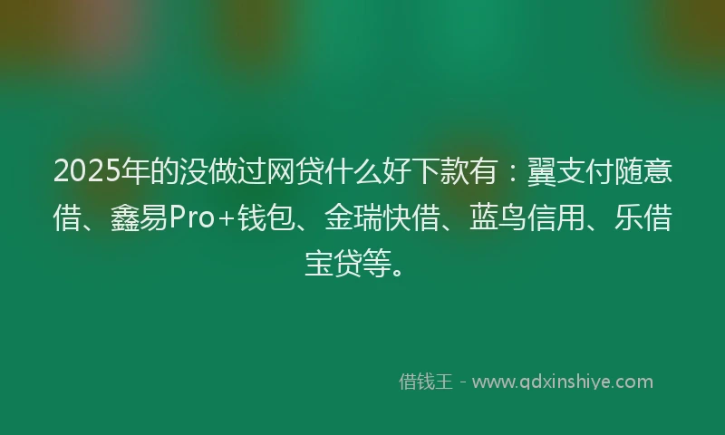 2025年的没做过网贷什么好下款有：翼支付随意借、鑫易Pro+钱包、金瑞快借、蓝鸟信用、乐借宝贷等。
