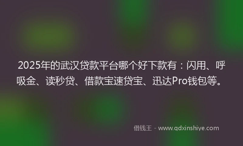 2025年的武汉贷款平台哪个好下款有：闪用、呼吸金、读秒贷、借款宝速贷宝、迅达Pro钱包等。