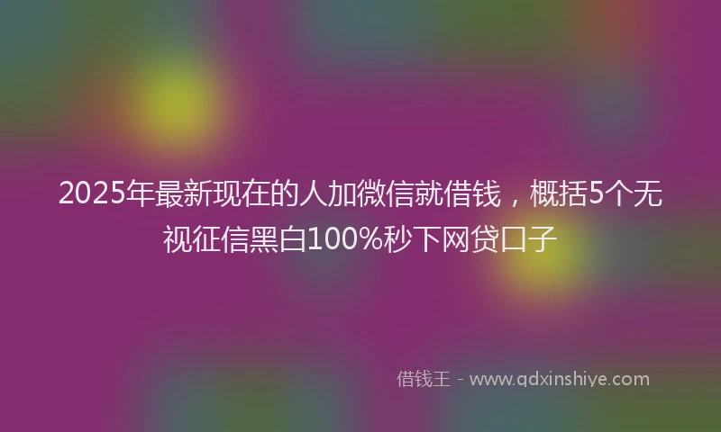 2025年最新现在的人加微信就借钱，概括5个无视征信黑白100%秒下网贷口子