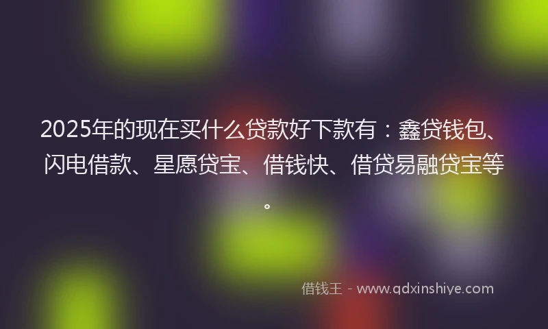 2025年的现在买什么贷款好下款有：鑫贷钱包、闪电借款、星愿贷宝、借钱快、借贷易融贷宝等。