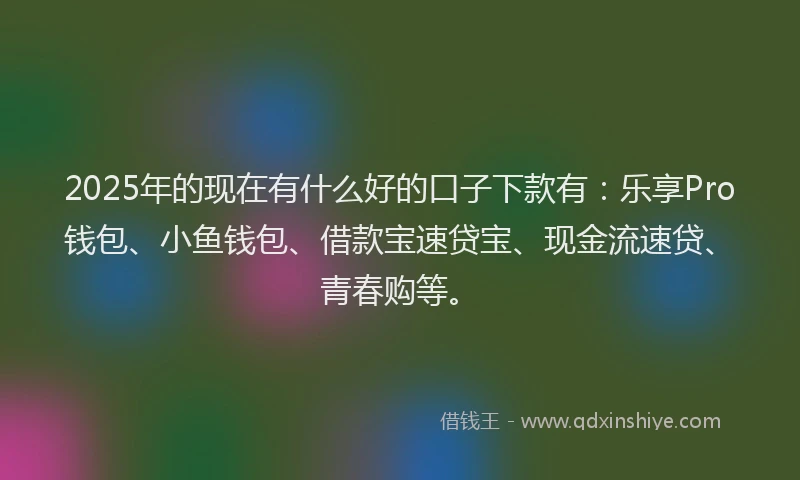 2025年的现在有什么好的口子下款有：乐享Pro钱包、小鱼钱包、借款宝速贷宝、现金流速贷、青春购等。
