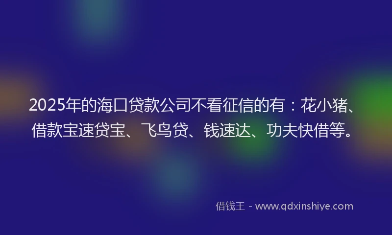 2025年的海口贷款公司不看征信的有：花小猪、借款宝速贷宝、飞鸟贷、钱速达、功夫快借等。