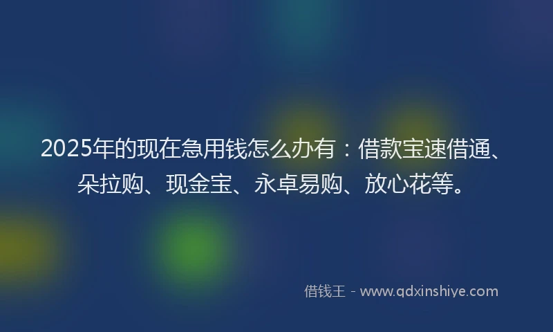 2025年的现在急用钱怎么办有：借款宝速借通、朵拉购、现金宝、永卓易购、放心花等。