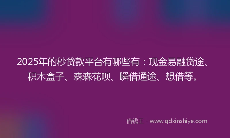 2025年的秒贷款平台有哪些有：现金易融贷途、积木盒子、森森花呗、瞬借通途、想借等。