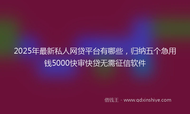2025年最新私人网贷平台有哪些，归纳五个急用钱5000快审快贷无需征信软件
