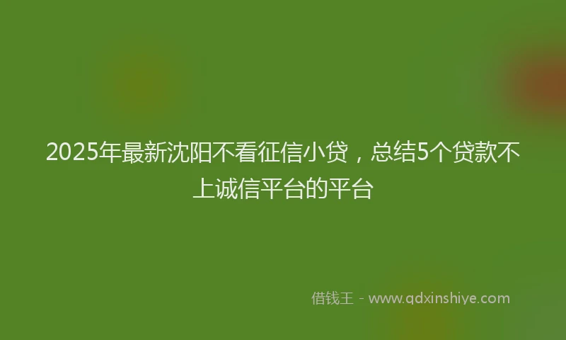 2025年最新沈阳不看征信小贷，总结5个贷款不上诚信平台的平台