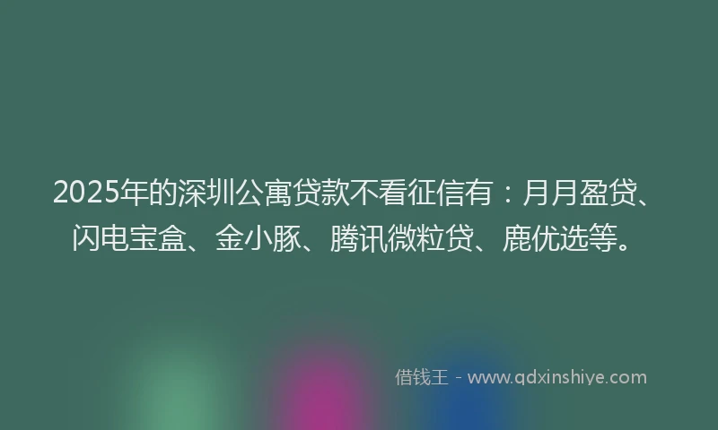 2025年的深圳公寓贷款不看征信有：月月盈贷、闪电宝盒、金小豚、腾讯微粒贷、鹿优选等。