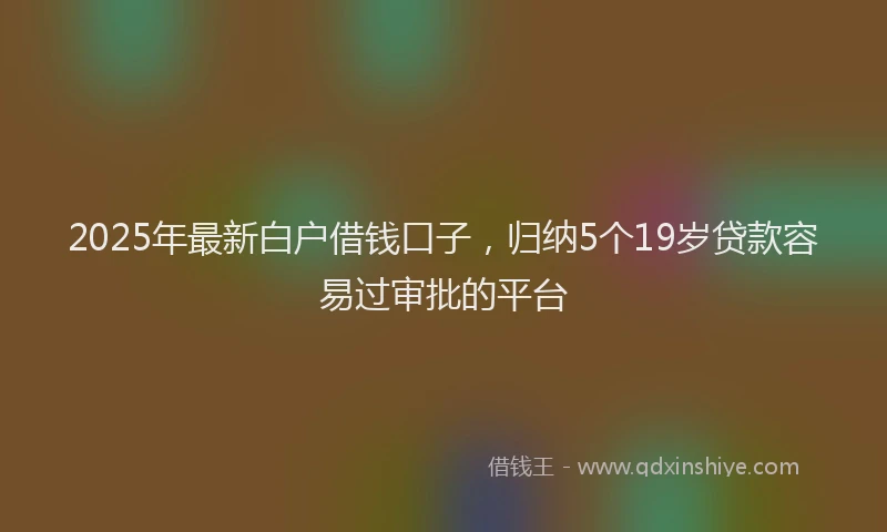 2025年最新白户借钱口子，归纳5个19岁贷款容易过审批的平台