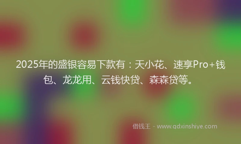 2025年的盛银容易下款有：天小花、速享Pro+钱包、龙龙用、云钱快贷、森森贷等。