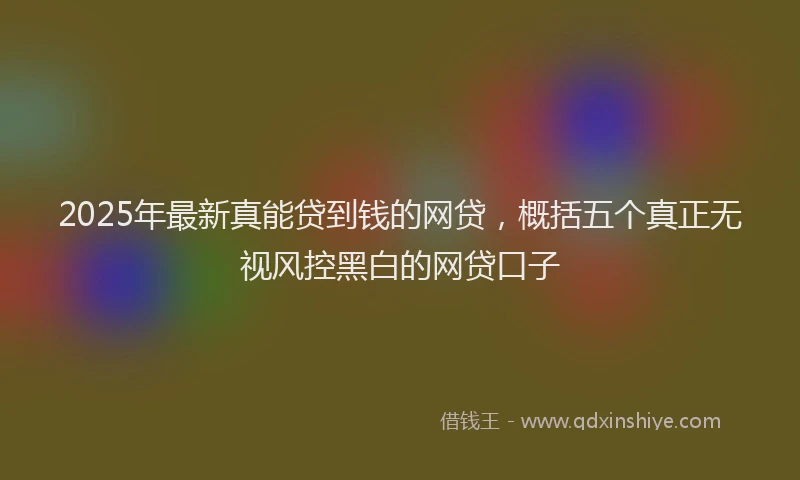2025年最新真能贷到钱的网贷，概括五个真正无视风控黑白的网贷口子
