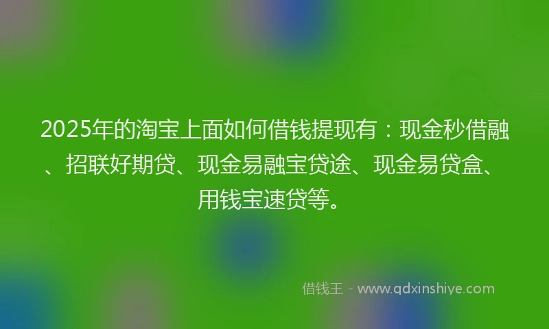 2025年的淘宝上面如何借钱提现有：现金秒借融、招联好期贷、现金易融宝贷途、现金易贷盒、用钱宝速贷等。