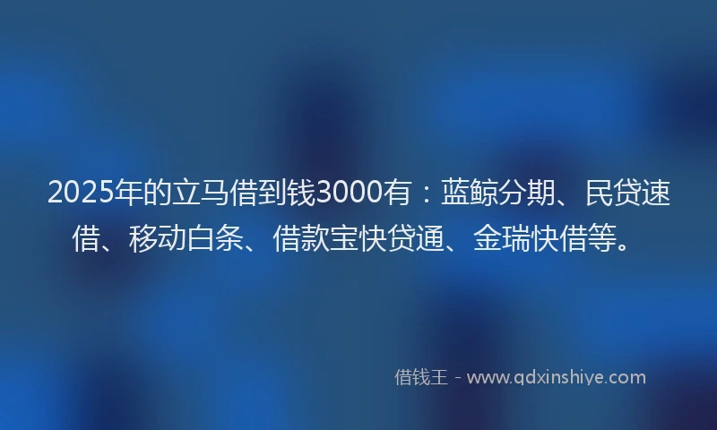 2025年的立马借到钱3000有：蓝鲸分期、民贷速借、移动白条、借款宝快贷通、金瑞快借等。