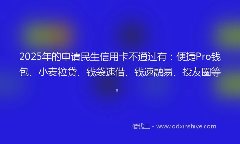 2025年的申请民生信用卡不通过有：便捷Pro钱包、小麦粒贷、钱袋速借、钱速融易、投友圈等。