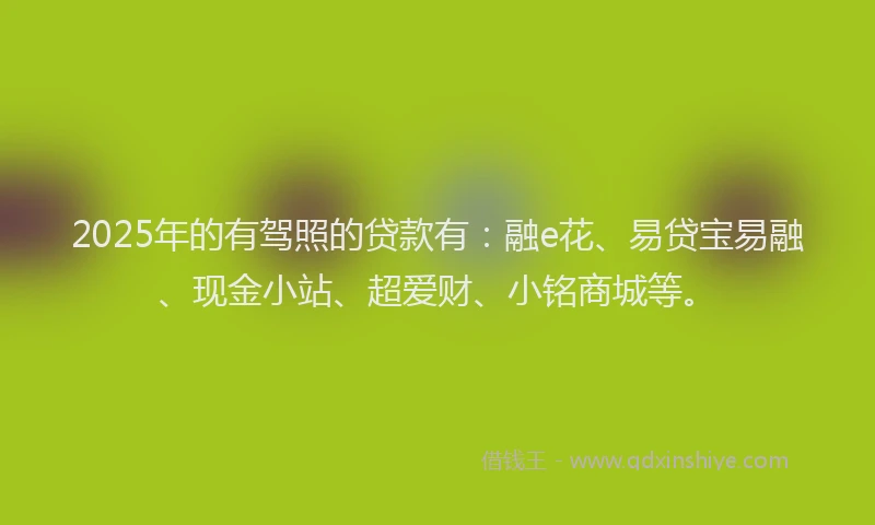 2025年的有驾照的贷款有：融e花、易贷宝易融、现金小站、超爱财、小铭商城等。