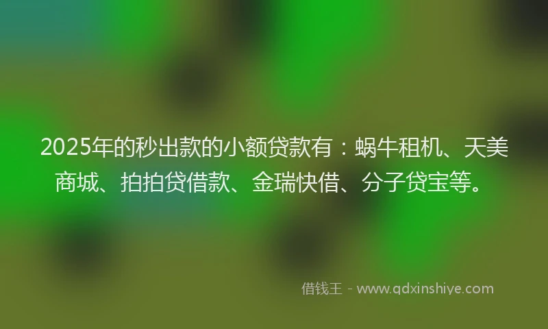 2025年的秒出款的小额贷款有：蜗牛租机、天美商城、拍拍贷借款、金瑞快借、分子贷宝等。