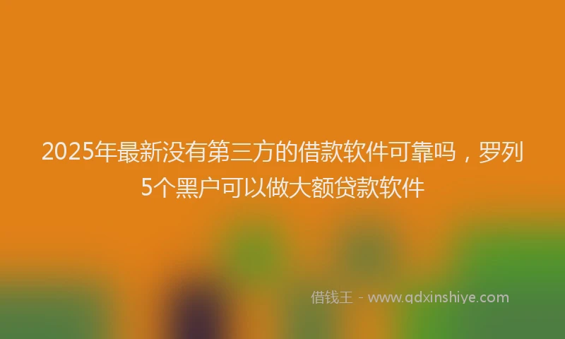 2025年最新没有第三方的借款软件可靠吗，罗列5个黑户可以做大额贷款软件