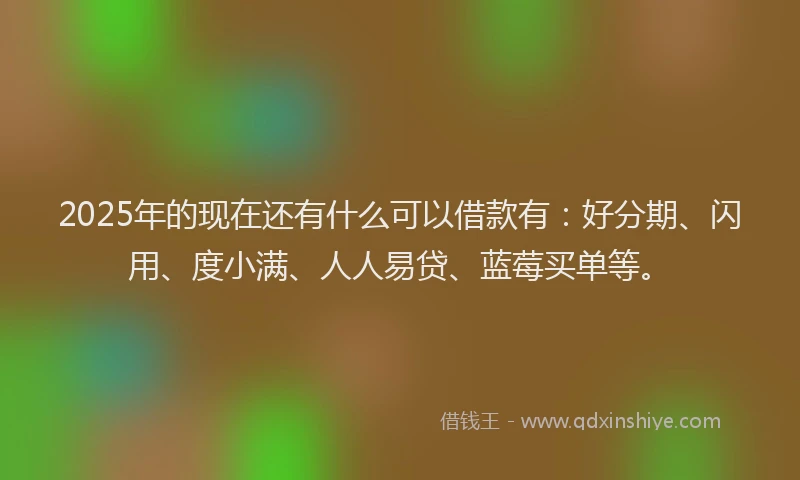2025年的现在还有什么可以借款有：好分期、闪用、度小满、人人易贷、蓝莓买单等。