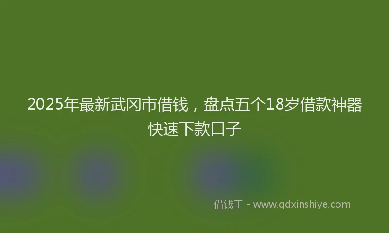 2025年最新武冈市借钱，盘点五个18岁借款神器快速下款口子
